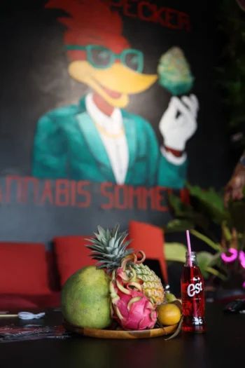 Woody Weed Pecker lounge interior on Koh Phangan