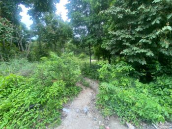 Lonely Beach, Koh Phangan