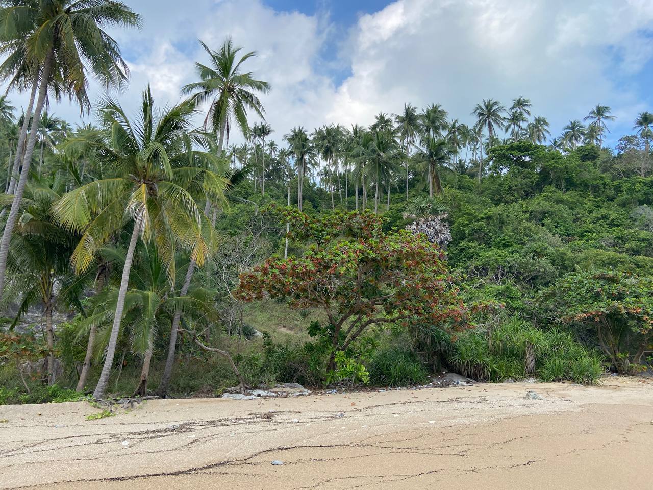 Secluded Haad Nam Tok Beach with serene surroundings and natural beauty on Koh Phangan.