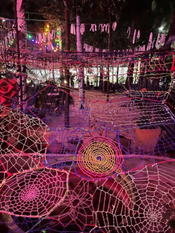 Cozy atmosphere at NASHE MESTO café, featuring delicious meals and warm hospitality on Koh Phangan.