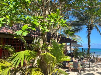 Tranquil beachfront setting at House of Sanskara, offering healthy cuisine and a relaxing atmosphere on Koh Phangan.