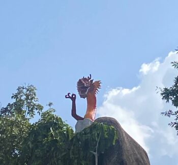 Dragon Soul Retreat Center healing sanctuary in nature on Koh Phangan