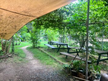 Swiss Farmacy café exterior and garden on Koh Phangan