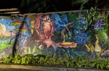 Magical Forest Koh Phangan jungle stage with lights, music, and trees