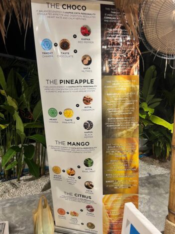 Menu of Italian cuisine and Ayurvedic sherbets at Dee Gusto Koh Phangan