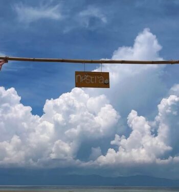 Nestra Beach Shala – oceanfront yoga sessions under palm trees