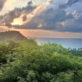 View from Haad Wai Nam Scenic Spot overlooking the turquoise bay and jungle