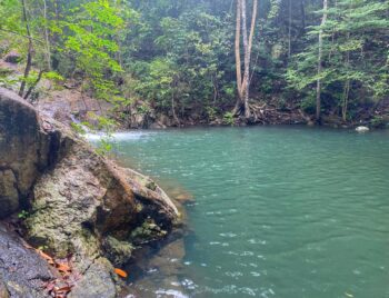 Natural pool at Paradise Waterfall on Koh Phangan