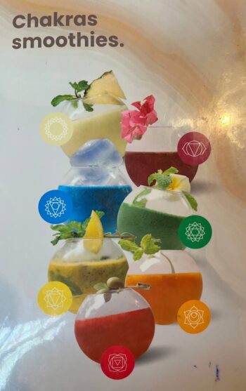 Menu at Shivari Healing & Art Center featuring raw and vegan dishes