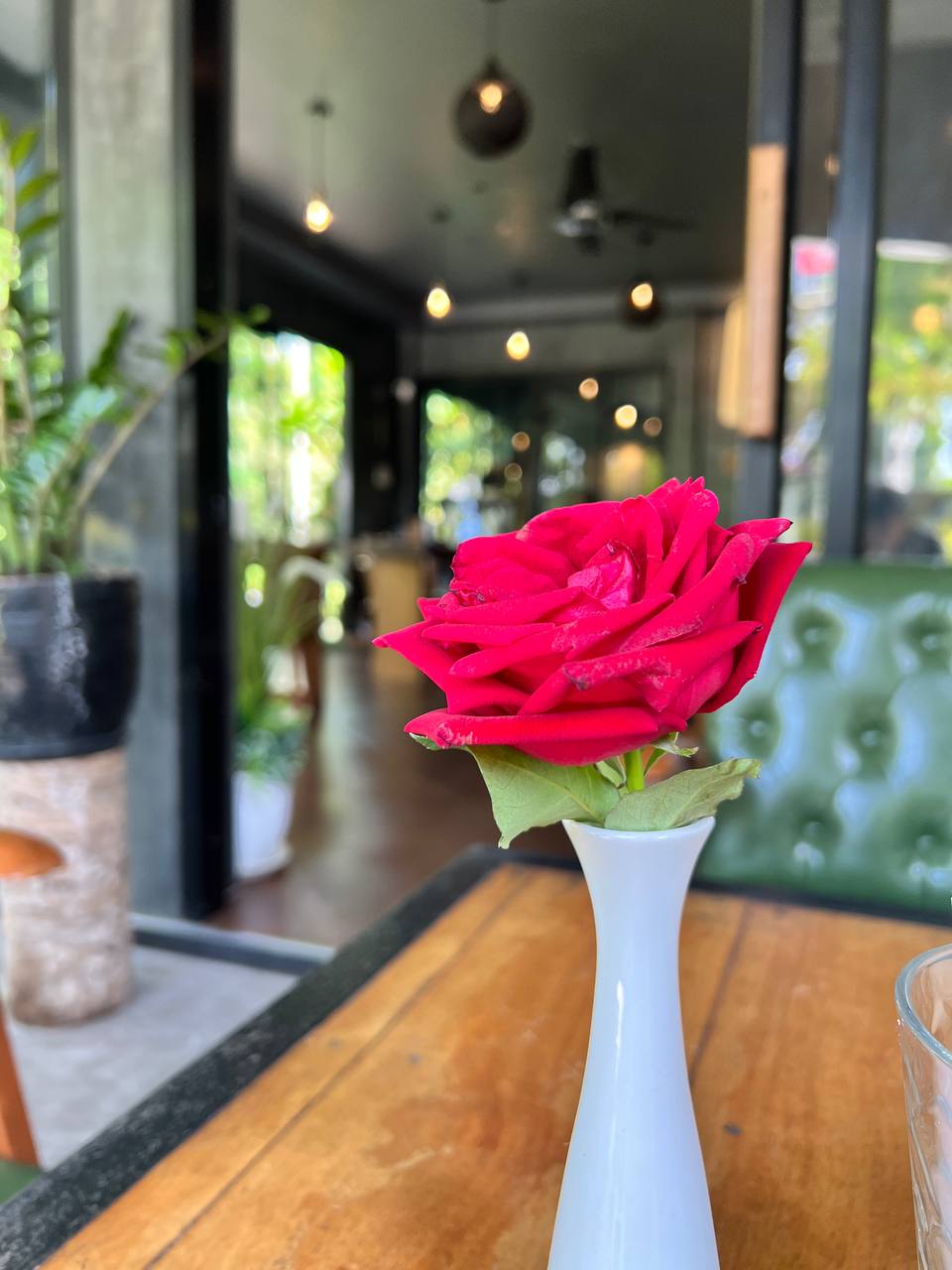 Haris' Halal Café interior on Koh Phangan with cozy seating