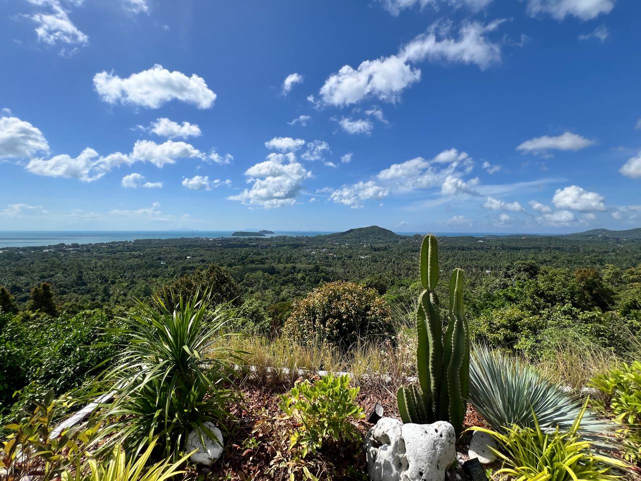 Secret Mountain restaurant terrace with panoramic views on Koh Phangan