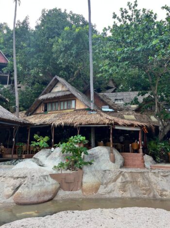 Haad Tien Beach East on Koh Phangan with palm trees and calm sea