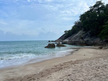 Haad Tien Beach East on Koh Phangan with palm trees and calm sea