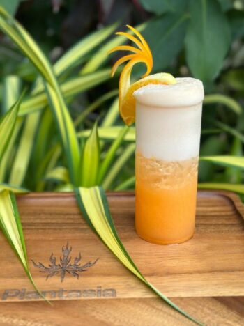 Modern dishes served at Plantasia Restaurant & Bar Koh Phangan