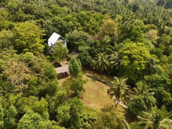 Soulscape – Tranquil Yoga, Relaxation, and Vegan Cuisine on Koh Phangan