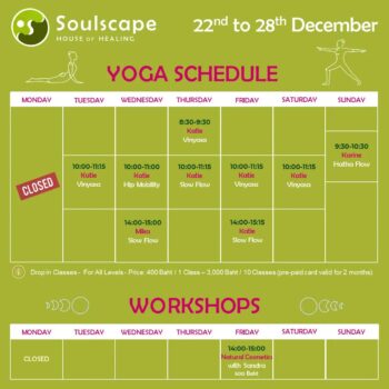 Soulscape Yoga – Restorative Sessions with Scenic Jungle and Sea Views