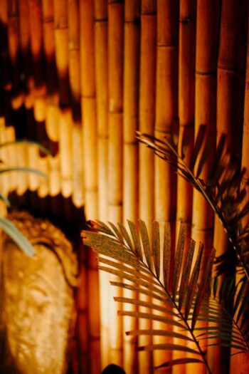 Design details and ambiance lighting inside Catch restaurant Koh Phangan