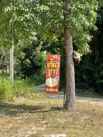 Chinese Dumpling Koh Phangan small family-run dumpling spot seating area