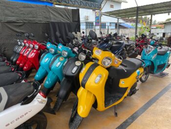 Modern rental scooters parked in Thong Sala, Koh Phangan