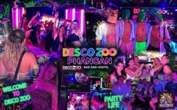 Party and social atmosphere at DISCO ZOO Bar Haad Rin
