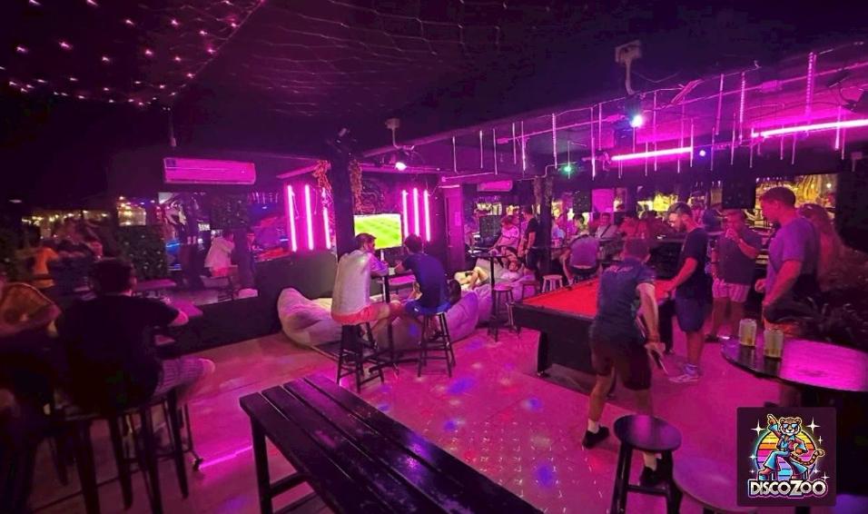 Party and social atmosphere at DISCO ZOO Bar Haad Rin