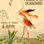 Flamingo Friday at Seaboard
