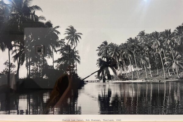 Chalok Lum Canal surrounded by coconut palms on Koh Phangan in 1960