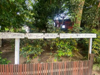 Apichada Viewpoint, Koh Phangan - Scenic Spot