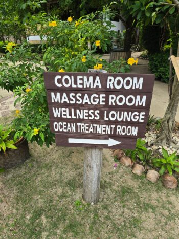 Orion Healing Centre yoga shala with jungle views and peaceful setting
