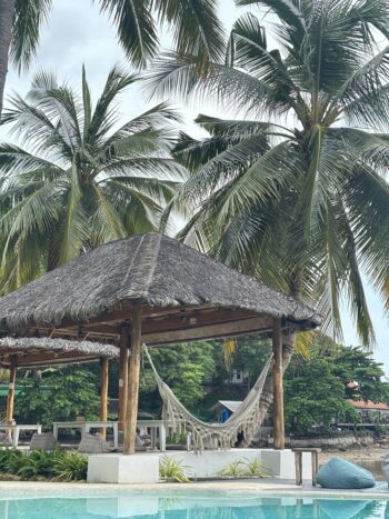 Orion Healing Centre yoga shala with jungle views and peaceful setting