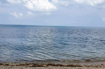 Nude Beach – Crystal-clear water and snorkeling spot on Koh Phangan